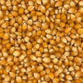 Curagua