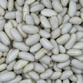Porotos Blancos Alubia