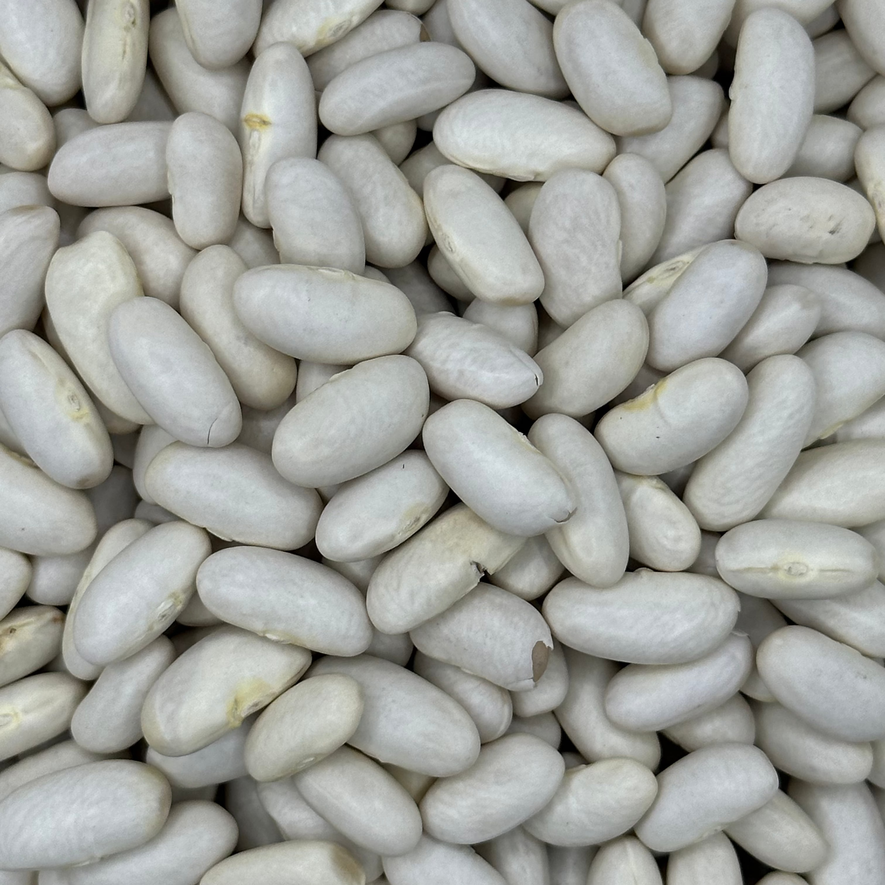 Porotos Blancos Alubia