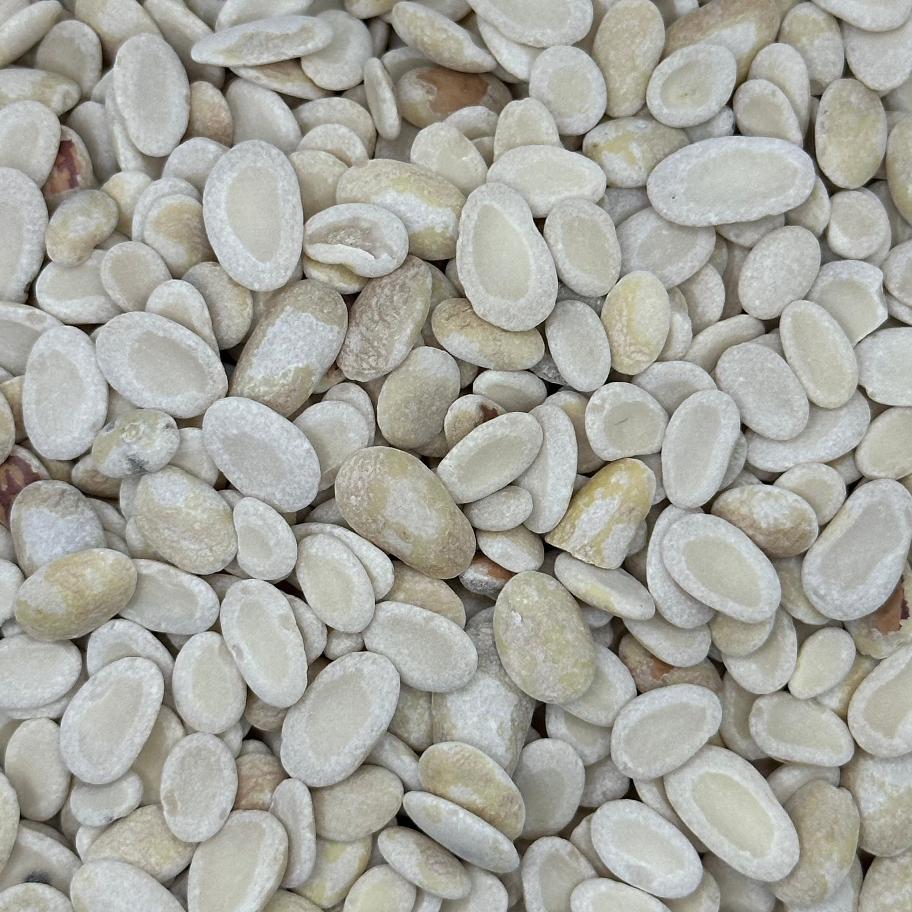 Porotos Pelados