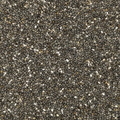 Chia