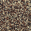 Quinoa Mixta