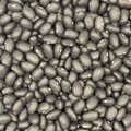Porotos Negros