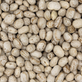 Porotos Cimarron