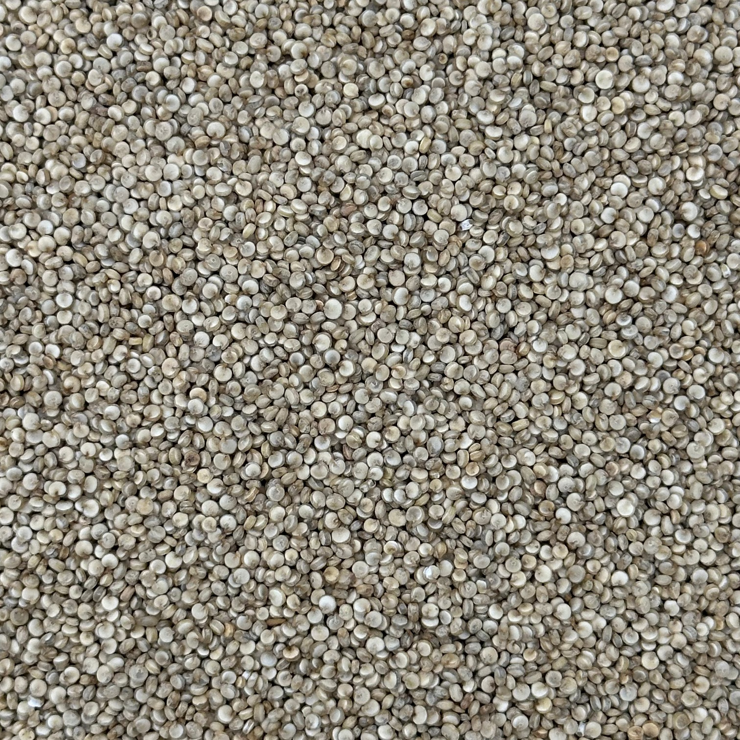 Quinoa Blanca