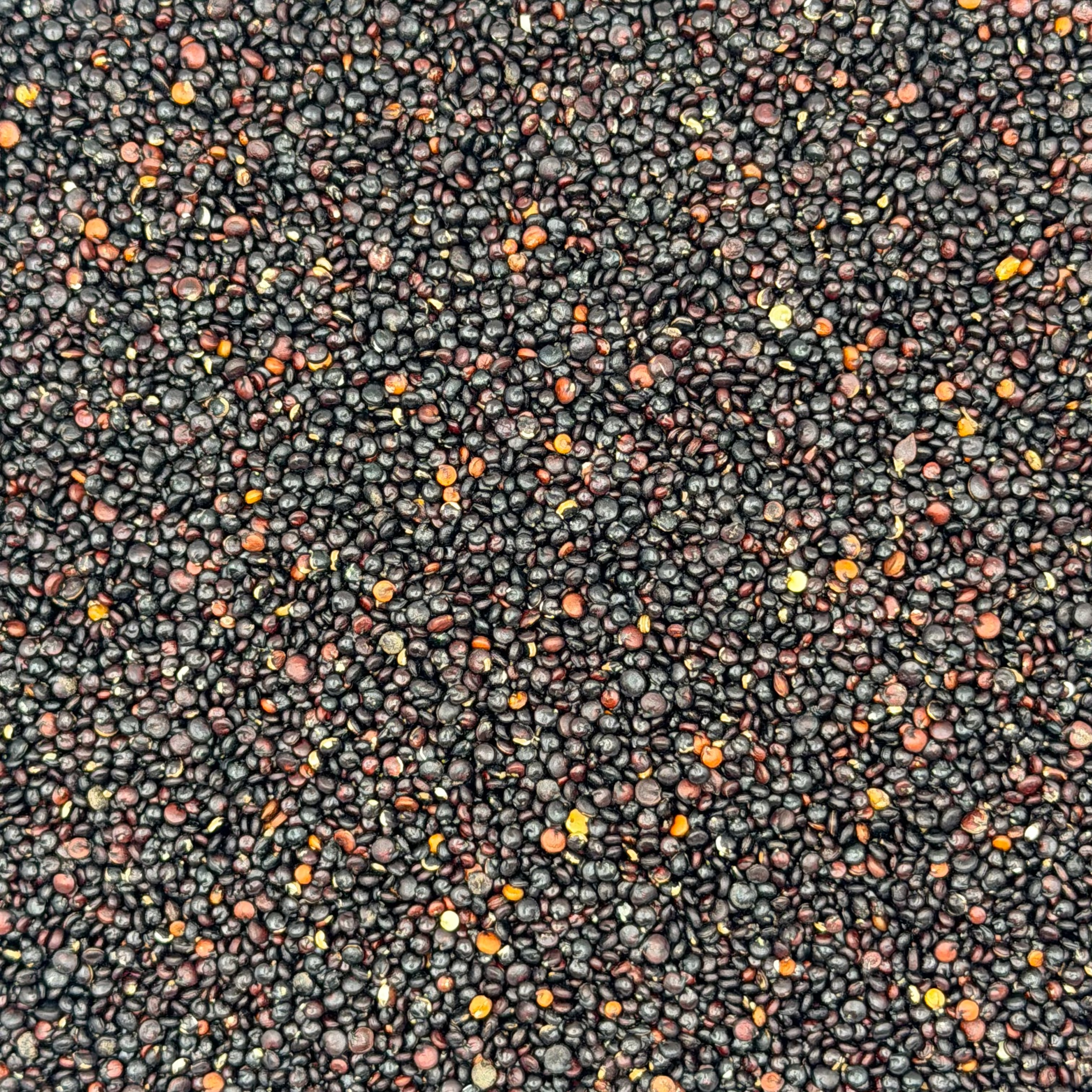 Quinoa Negra