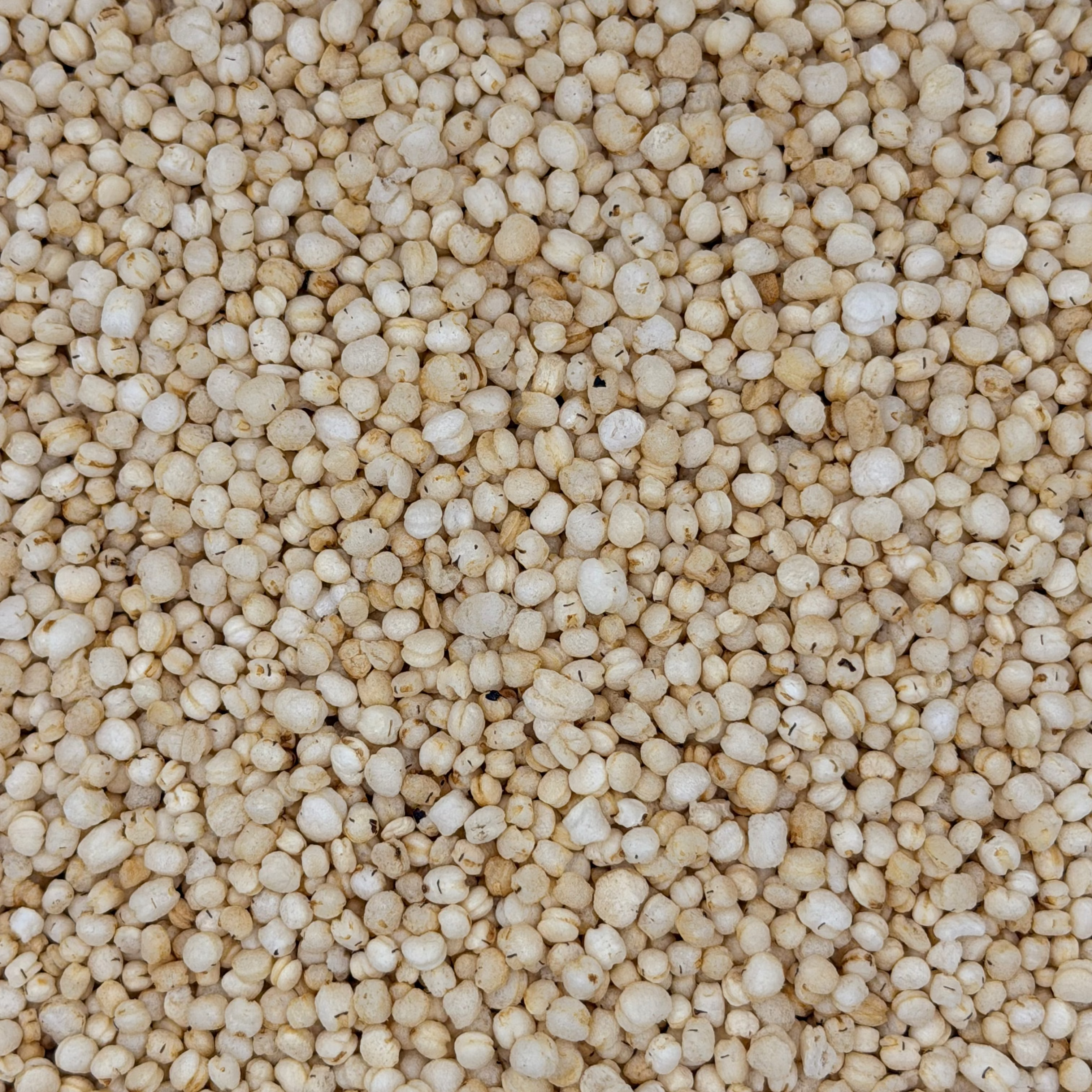 Quinoa Pop Natural