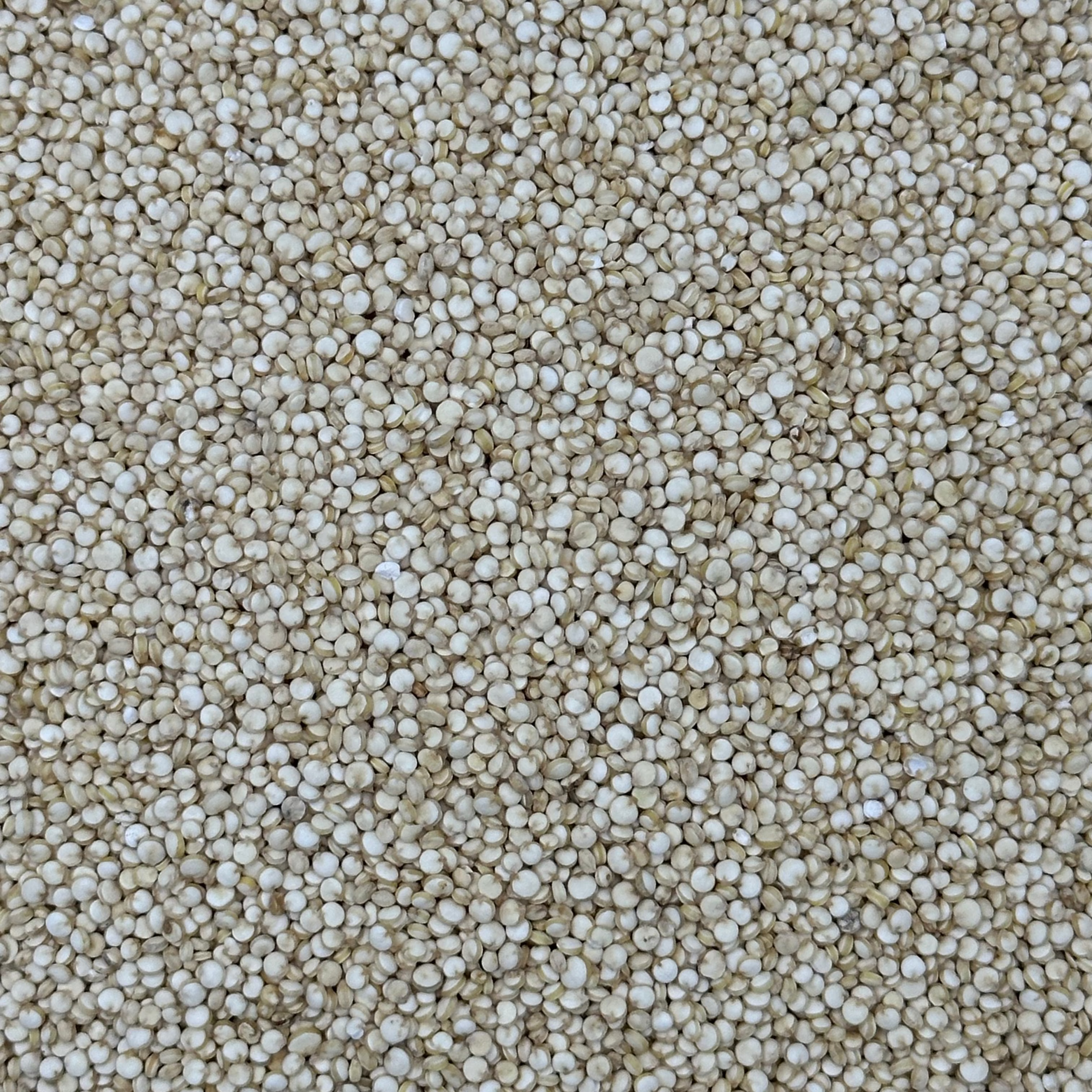 Quinoa Blanca Premium